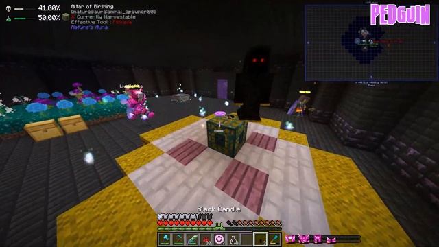 Jimmy the Druid - MINECRAFT HEAVENS OF SORCERY #55 смотреть онлайн