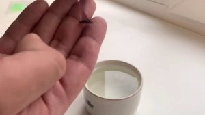 Как я решаю проблему деформации силиконовых приманок.