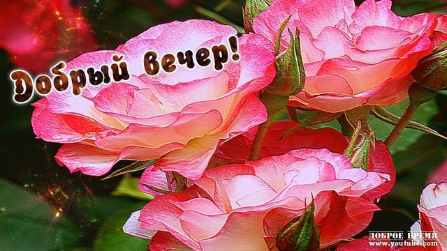 КРАСИВЫЕ ПЕСНИ ОБО ВСЁМ...ДОБРЫЙ ВЕЧЕР!!