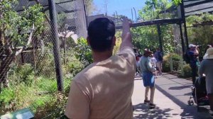 Самый Большой Зоопарк В Америке San Diego Zoo/ Uzbek is USA/Узбеки в США