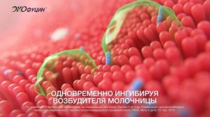 Экофуцин - рекламный ролик 2022