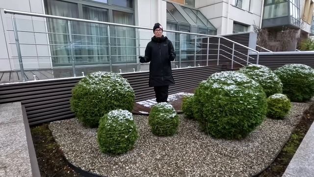 Разумная подготовка сада к зиме. Что сделать сейчас, а что оставить на весну?!