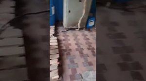Генератор синхронный!