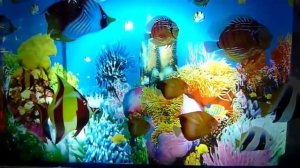 Светильник Ночник Аквариум (плавающие рыбки)