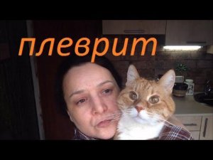 Плеврит у кота лечение/Жидкость в лёгких рентген/