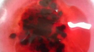 Манные биточки (котлеты).  Как сварить кисель .