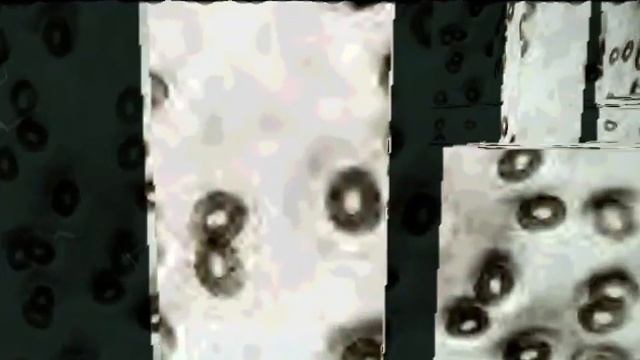 Kolor - Fresnel 2 (2000) demoscene 64k intro 2160p60 retro PC
