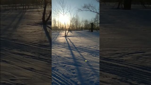 Снегоход Икар с двигателем БУРАН и удлинённой гусеницей смотреть онлайн