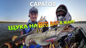 Щука на бигбейты в жару. Саратов 2021
