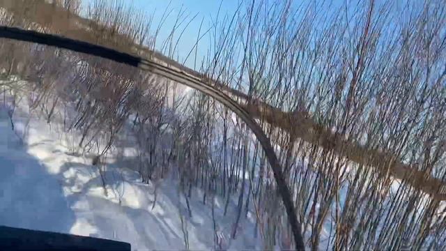 ПОГОНЯ ЗА ЛОСЯМИ НА СНЕГОХОДЕ Тайга Атака 2 #лоси#зима#снегоход#природа смотреть онлайн