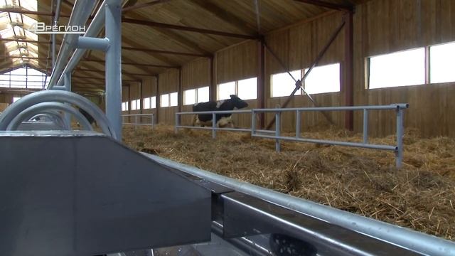 Дороги деревенские 11.12.21 сайт смотреть онлайн