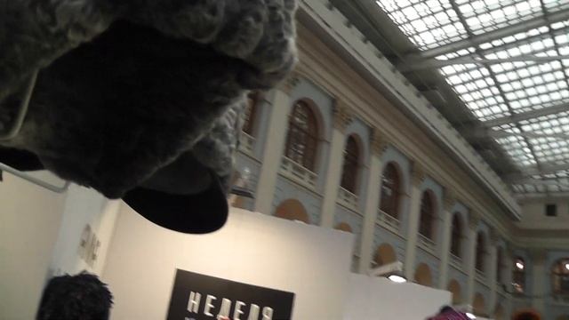 Зимние шапки из натурального каракуля. Шапки&Фуражки. смотреть онлайн