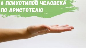 6 психотипов человека по Аристотелю