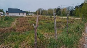 Едем на поиски живописных мест для проживания. Дом у озера. Печки лавочки ВЛОГ