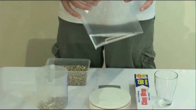 BEARDED DRAGONS смотреть онлайн