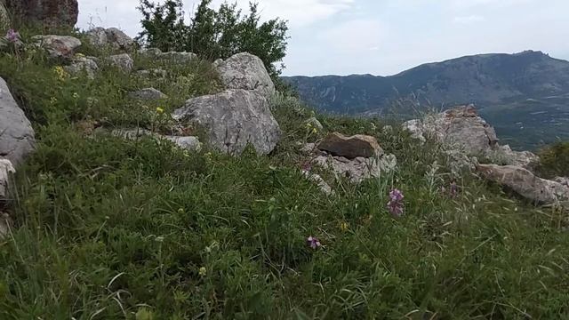 Место Силы "осознание центра чувств" смотреть онлайн