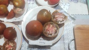 Сорта томатов Морщинистая ночь(не гном)Вишневый брауни, Венгерские кечкемети, Карамельный кардинал