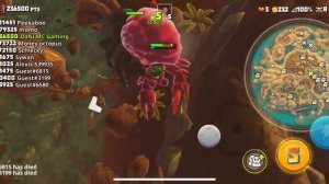 PINK FLUFF SKIN UNLOCKED HERMIT CRAB! - KING OF CRABS