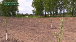 Продовольственная безопасность. Выпуск №14.