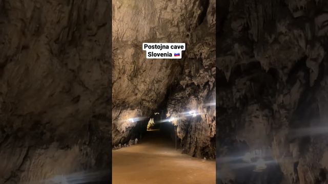 Postojna cave Slovenia 🇸🇮 #slovenia #caves #postojnacave