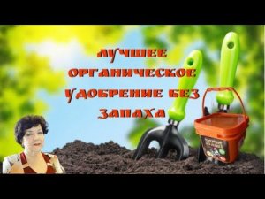 Лучшее органическое удобрение без запаха и мороки #огородгорожанки #органическоеудобрение
