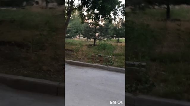 ПроПутешествия.Дагестан,сан.Каспий.День2й.Фильм15.mp4