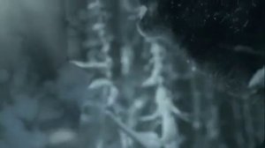 Владимир Высоцкий   Если друг оказался вдруг