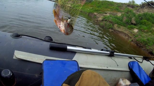 Рыбалка на Тоболе на спиннинг .Киллушки атакуют! смотреть онлайн