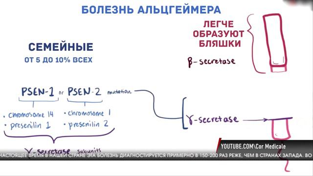 22 июля отмечается День мозга