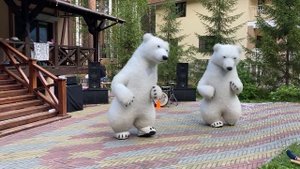 Фирменный танец. Фрагмент. Шоу танцующих медведей. Белые медведи. Панды. Ростовые куклы."СуперМишки