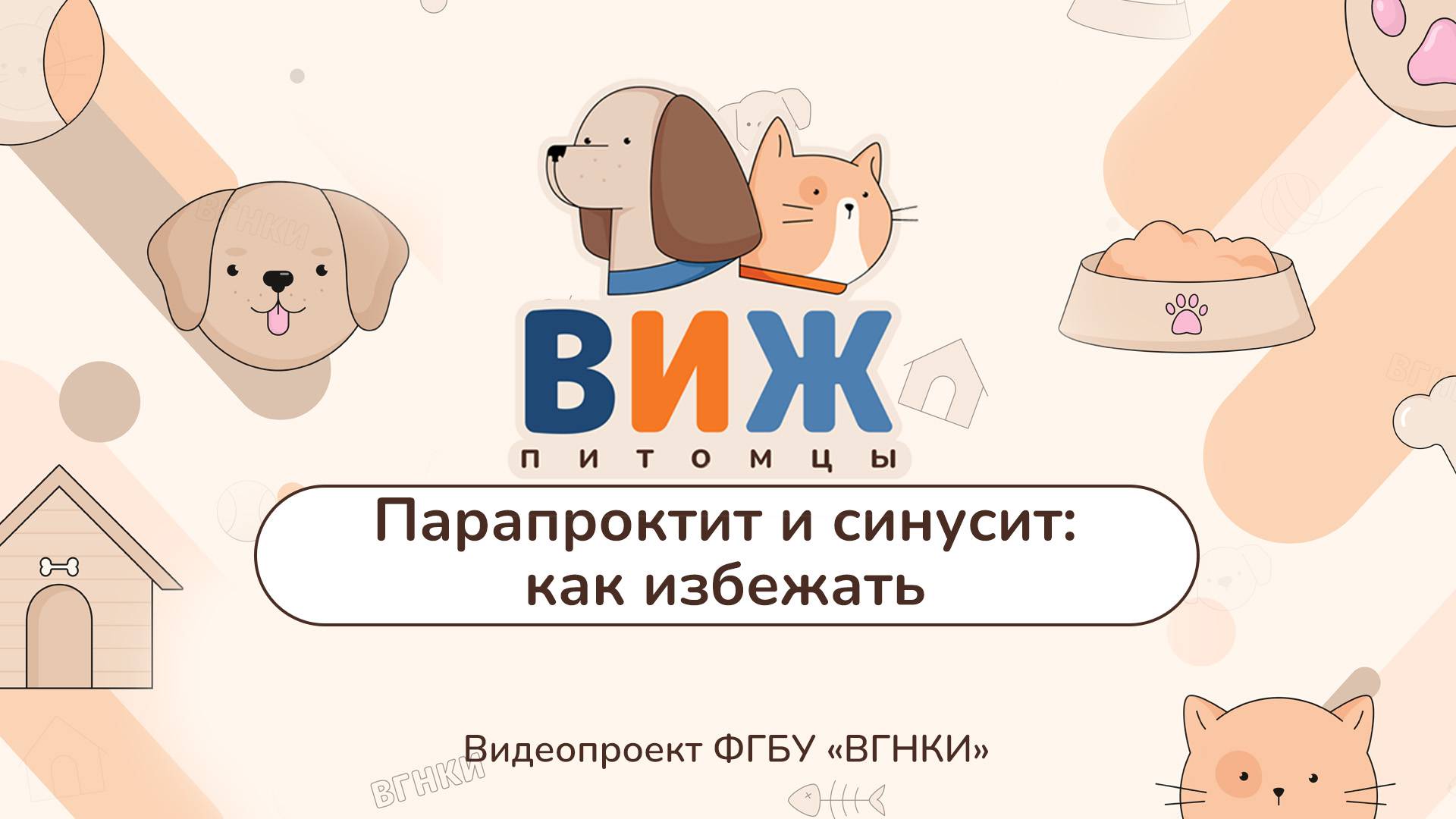 «ВИЖ Питомцы» - Парапроктит и синусит: как избежать