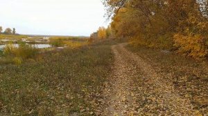 Выходной день на малой родине в селе Райгород, Волгоградской области, Светлоярского района