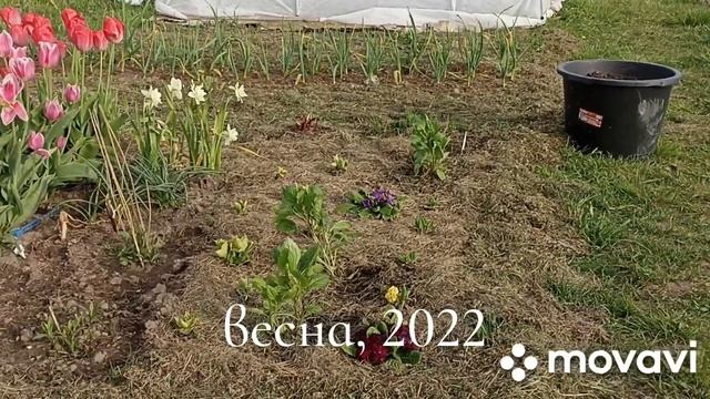 Дача.Итоги за два года.До и после? смотреть онлайн