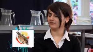 Food - What we eat - What do you have for lunch?