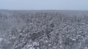 Путешествие по Беларуси зимой: что из достопримечательностей посмотреть?