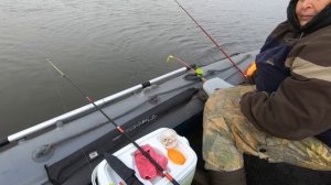 БЕЛОЕ МОРЕ.  РЫБАЛКА НА КАМБАЛУ, САМУЮ ВКУСНУЮ КАМБАЛУ В МИРЕ