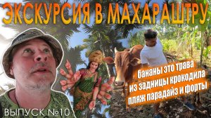 В Махараштру к крокодилам. Бананы это трава! Выпуск №10. Сезон 2023. Индия. Гоа.