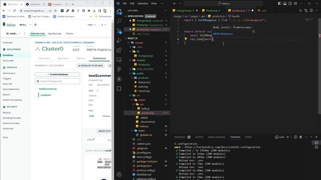 Fetching Data From Database MongoDB With Next.js 14