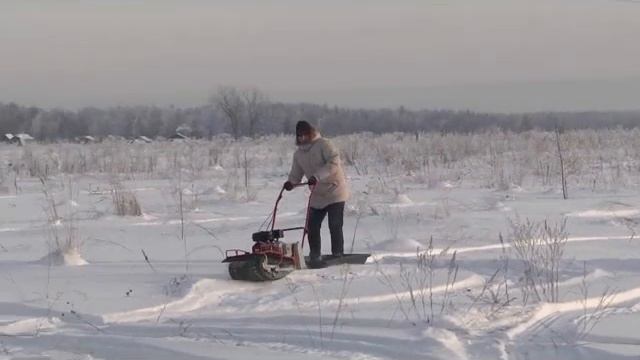 Fishcar смотреть онлайн