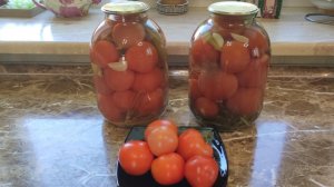 Собираю урожай помидоров и мариную их по своему проверенному рецепту!