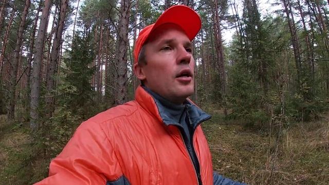 Что делать, если заблудился в лесу? смотреть онлайн