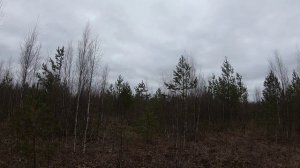 Охота на зайца. За зайкой.mp4