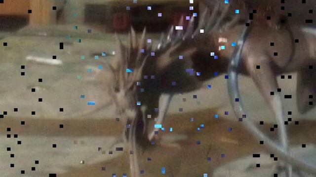 Кованый Дракон смотреть онлайн