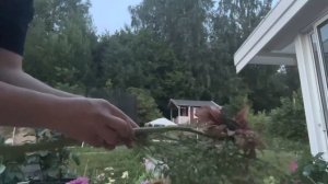 Букет из подсолнухов