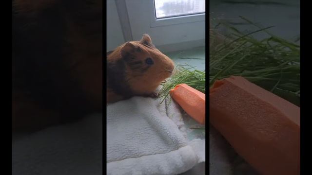 Витамин весной!