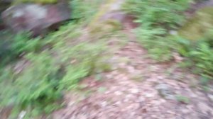 Добрыня украл телефон и снимал видео по лагерю