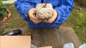 Долгожданная Посылка от Русского Огорода! Наконец-то она приехала!