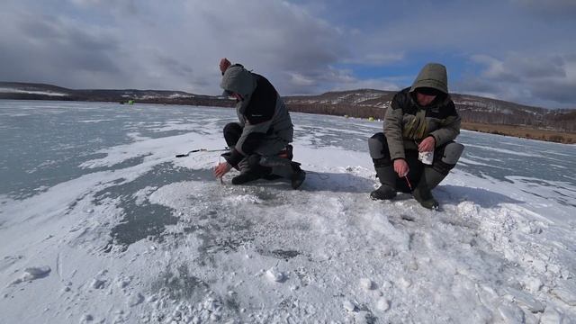 Рыбалка в Шарыпово "ТРУБА" Березовская ГРЭС. 29.03.2020.Весна.Мормыш
