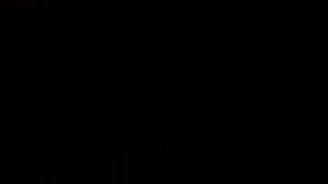 Ночью на болоте