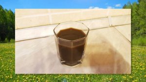 Будра плющевидная. Сбор и применение